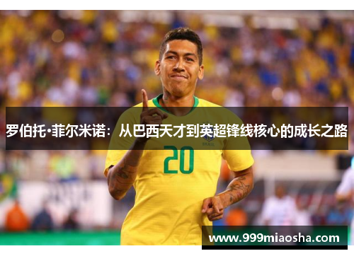 罗伯托·菲尔米诺：从巴西天才到英超锋线核心的成长之路