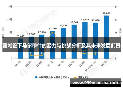 曼城签下马尔穆什的潜力与挑战分析及其未来发展前景