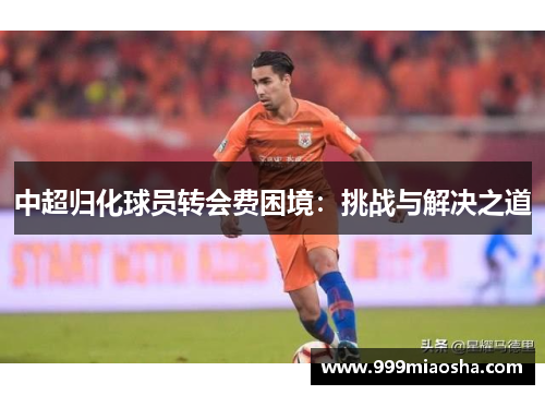 中超归化球员转会费困境：挑战与解决之道