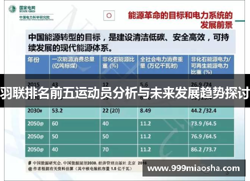 羽联排名前五运动员分析与未来发展趋势探讨